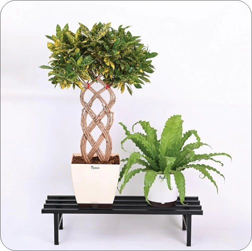 Garden Fixtures 